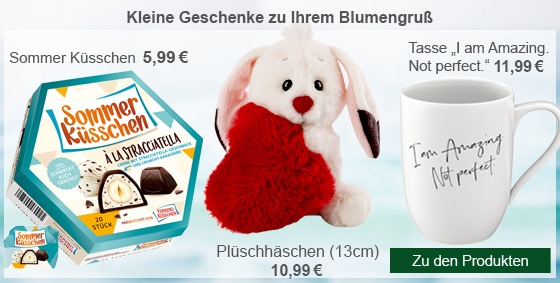 Große Auswahl an Dazu-Artikeln ab 5,99€