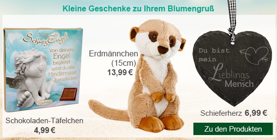 Große Auswahl an Dazu-Artikeln ab 4,99€