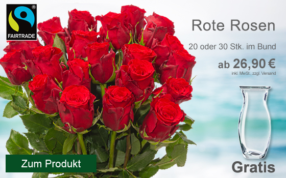 Rote Fairtrade Rosen im Bund. Als 20er oder 30er ab 26,90€ mit Gratis-Vase